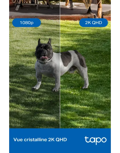 Caméra de Surveillance Extérieure 2K QHD IP66- Tapo C425