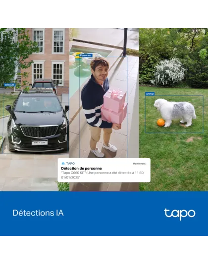 Caméra de Surveillance Solaire 4K Ultra HD IP65 &amp; 360° - Tapo C660 kit